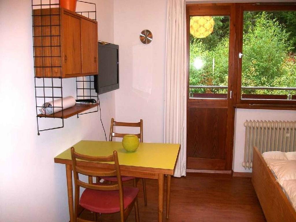 Schlesierhaus Apartment Dachsberg im Schwarzwald Exterior photo
